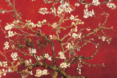 Almond Blossom - Red - Poster, 36x24