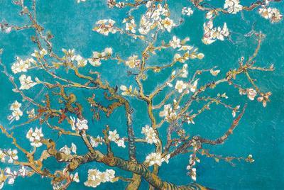 Almond Branches in Bloom, San Remy, c.1890 - Poster, 36x24