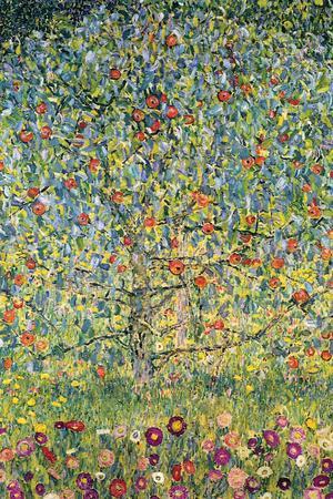 Apple Tree - Wall Art Print, 12x18