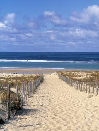 Cape Ferret, Basin d'Arcachon, Gironde, Aquitaine, France - Photographic Print, 12x16