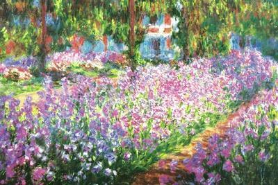 Claude Monet (Garden at Giverny) - Wall Art Print, 36x24