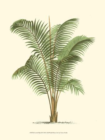 Coastal Palm II - Wall Art Print, 12x16