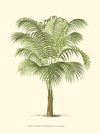 Coastal Palm III - Wall Art Print, 12x16