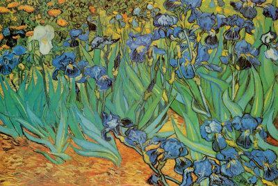 Garden of Irises (Les Irises, Saint-Remy), c. 1889 - Poster, 36x24