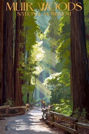 Muir Woods National Monument, California - Pathway - Wall Art Print, 12x18