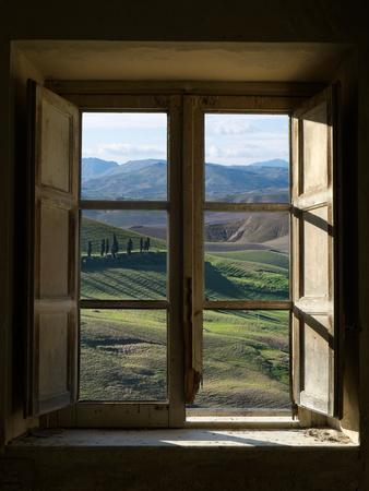 Outside View of Cypress Trees and Green Hills Through a Shabby Windows - Photographic Print, 12x16