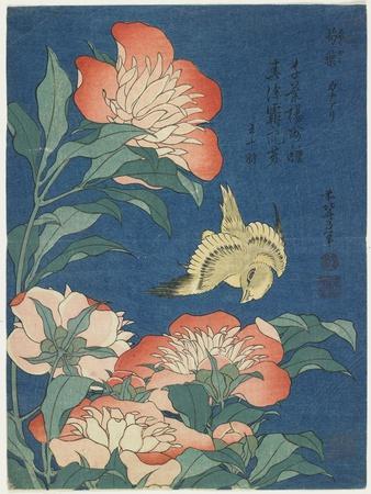 Peonies and Canary, C. 1833 - Giclee Print, 12x16