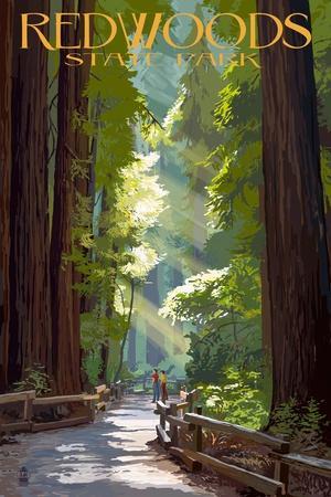 Redwoods State Park - Pathway in Trees - Wall Art Print, 12x18