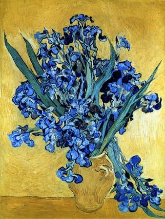 Vase of Irises Against a Yellow Background, c.1890 - Giclee Print, 12x16