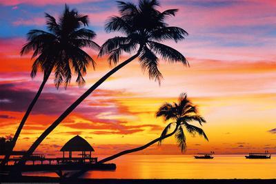 Velavary Sunset Art Print Poster - Poster, 36x24