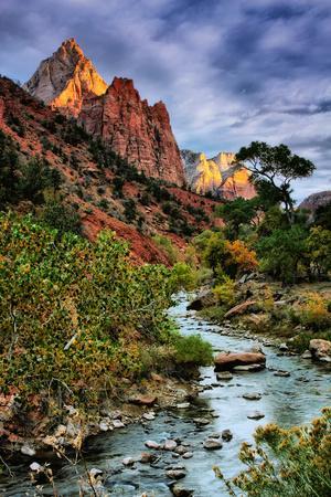 Virgin River Morning View, Zion National Park, Utah - Photographic Print, 8x12